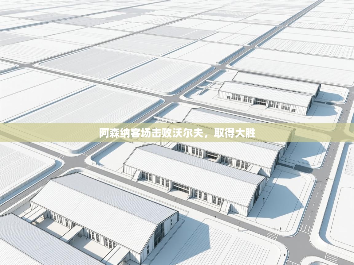 阿森纳客场击败沃尔夫，取得大胜  第2张